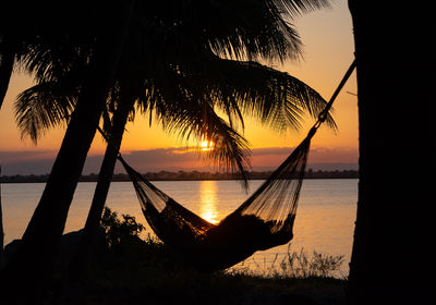 Hammock